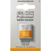 Winsor & Newton Professional akvarellfärg halvkopp Gold Ochre 285
