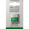 Winsor & Newton Professional akvarellfärg halvkopp Hooker´s Green 311