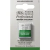Winsor & Newton Professional akvarellfärg halvkopp Oxide Of Chromium 459