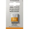 Winsor & Newton Professional akvarellfärg halvkopp Brown Ochre 059