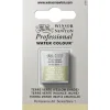 Winsor & Newton Professional akvarellfärg halvkopp Terre Verte (yellow shade) 638